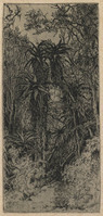 KG 18094
<br/>
Boslandschap in Zuid-Afrika
<br/>
<em>Nachenius, Jan Coenraad (1890-1987)</em>